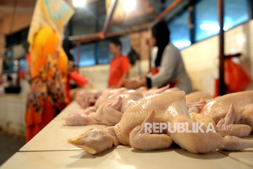 Fluktuasi Harga Ayam Potong (ilustrasi)