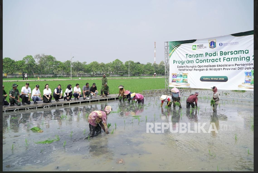 Food Station Gandeng Gapoktan Rorotan Garap 235 Hektare Sawah
