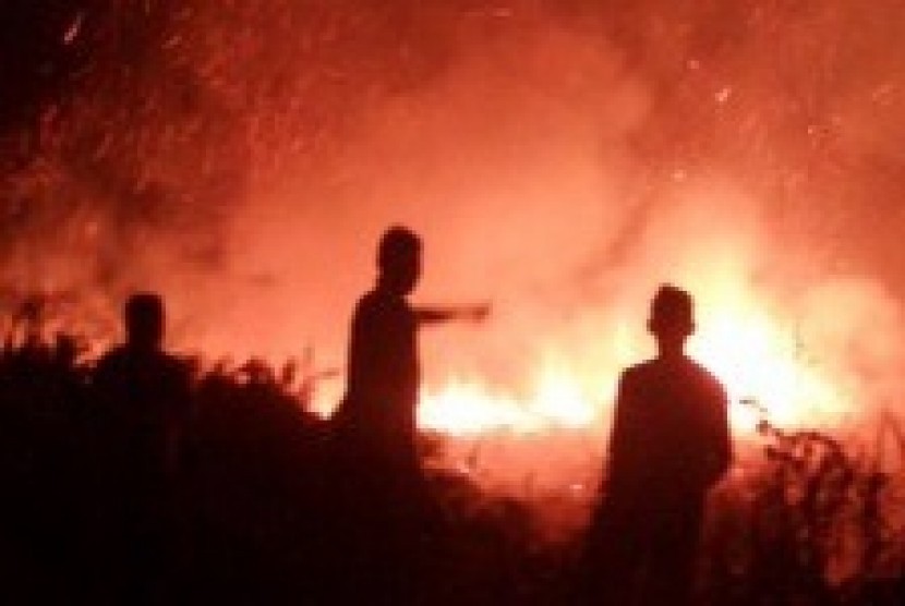Forest fire in East Kotawaringin, Central Kalimantan, on September 7, 2014 (file photo)