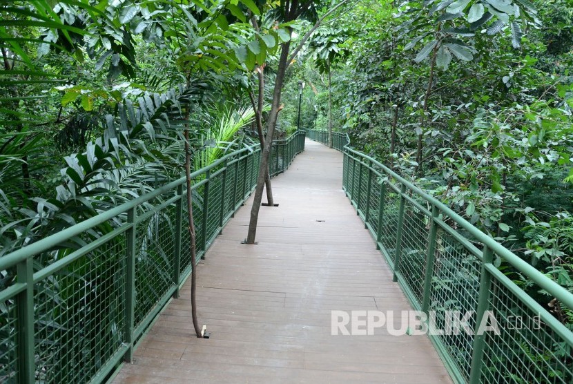 Forest Walk di Hutan Kota Babakan Siliwangi, Kota Bandung, Rabu (17/1).
