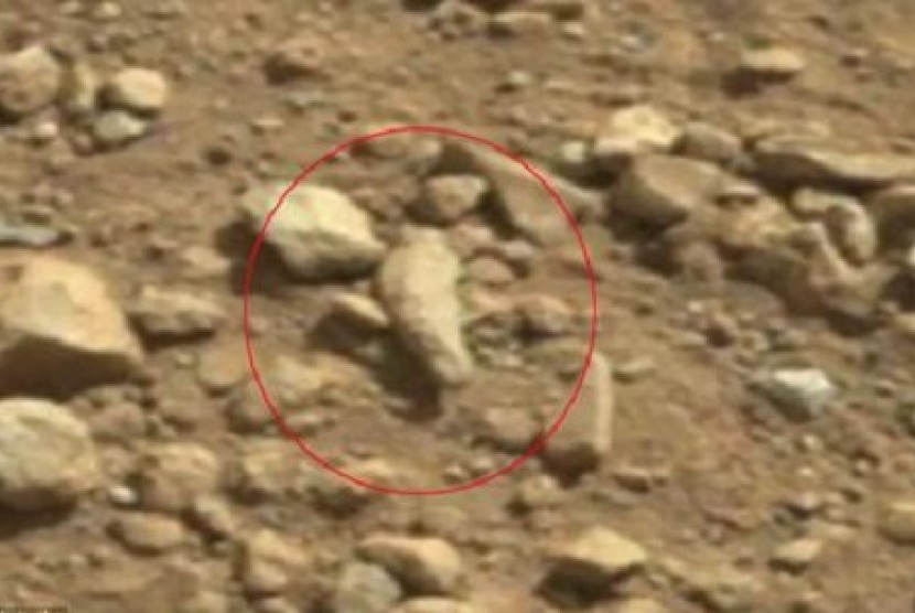 Fosil Jari di Mars yang berhasil dipotret robot Curiosity.