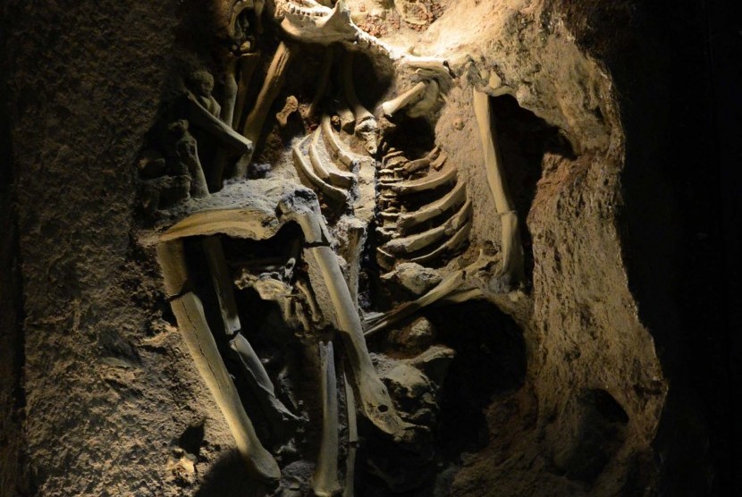 Fosil Manusia Purba (Ilustrasi)