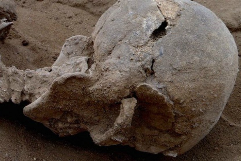 fosil yang ditemukan di Kenya