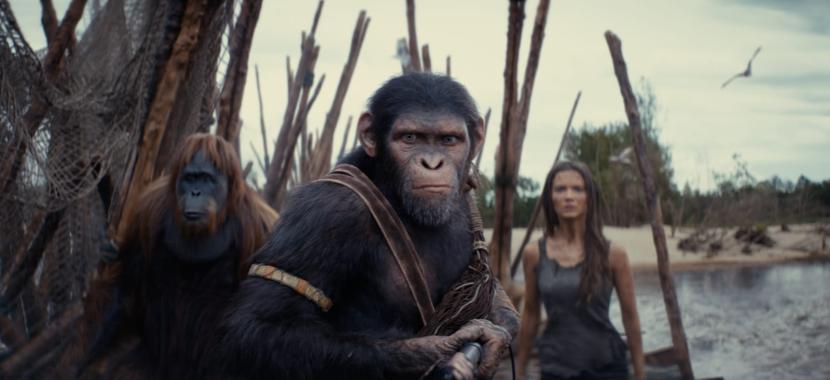 Foto adegan dalam film Kingdom of the Planet of the Apes.