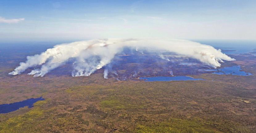 Foto aerial ini menunjukkan kawasan hutan di Shelburne County, Nova Scotia, Kanada terbakar, Rabu (31/5/2023).