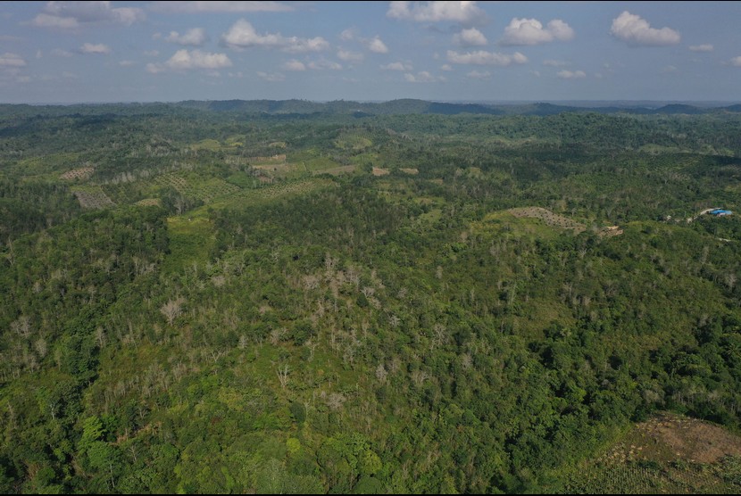 Foto aerial kawasan Kecamatan Sepaku, Penajam Paser Utara, Kalimantan Timur, Rabu (28/8/2019). 