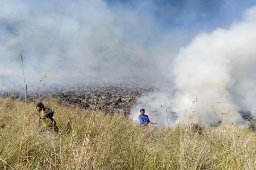 Foto arsip. Sejumlah personel gabungan Balai Besar Taman Nasional Bromo Tengger Semeru (BB TNBTS) pada saat melakukan proses pemadaman api di area savana, di wilayah Kabupaten Malang, Jawa Timur, Rabu (30/8/2023). 