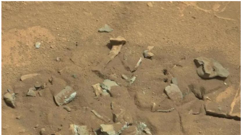 Foto batu yang ada di Mars terlihat seperti tulang paha manusia.