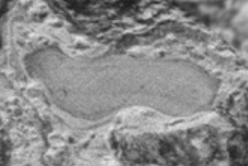 Foto danau beku di permukaan Pluto.