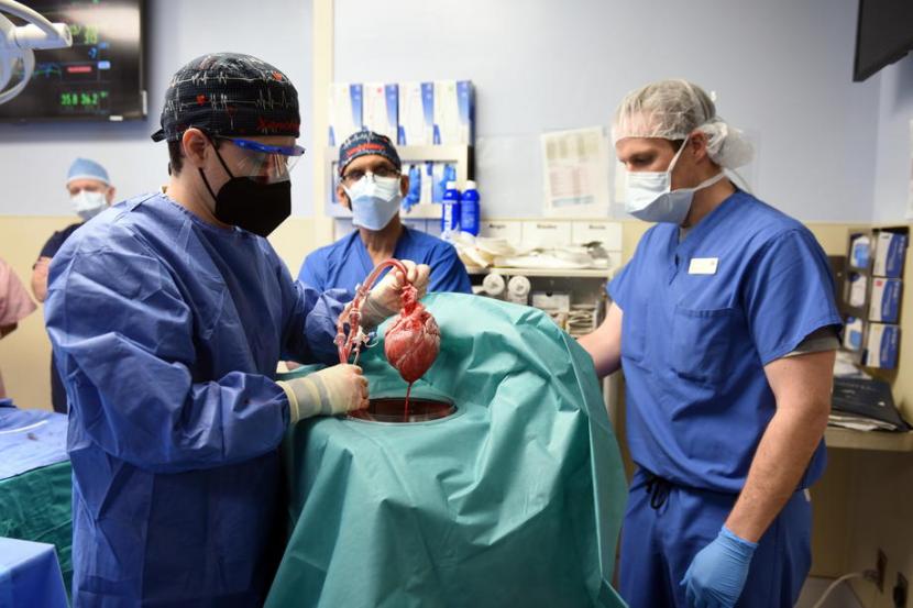 Foto dari University of Maryland School of Medicine (UMSOM) memperlihatkan ahli bedah Muhammad M Mohiuddin MD (tengah) memimpin jalannya operasi transplantasi jantung babi pada pasiennya, David Bennett.
