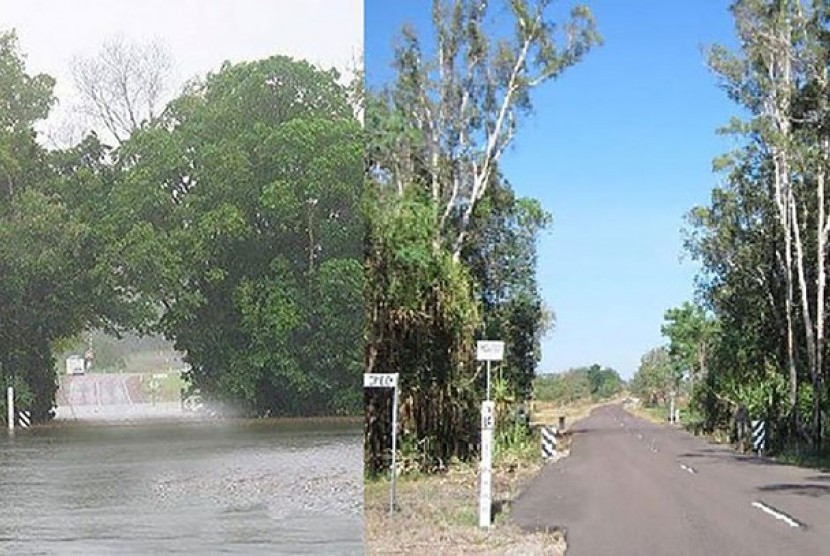 Foto dari warga setempat menunjukkan kondisi pepohonan di kawasan suci Aborigin sebelum dan setelah dilakukan pekerjaan pemangkasan pohon.