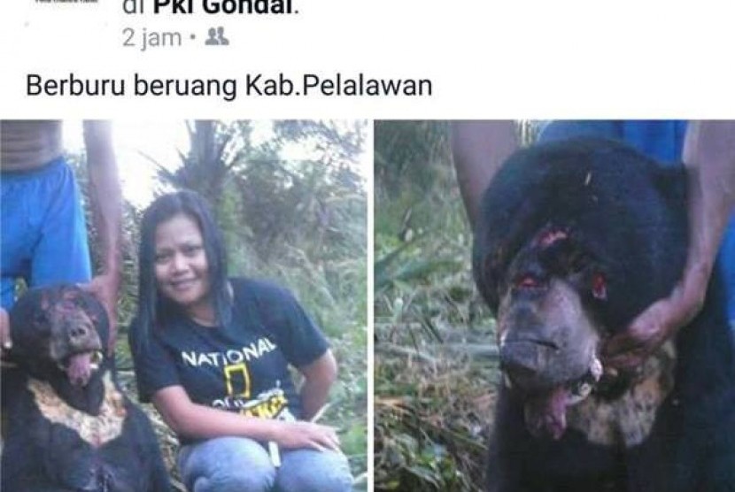 Foto gadis berkaos National Geographic berfoto dengan beruang madu yang mati disiksa