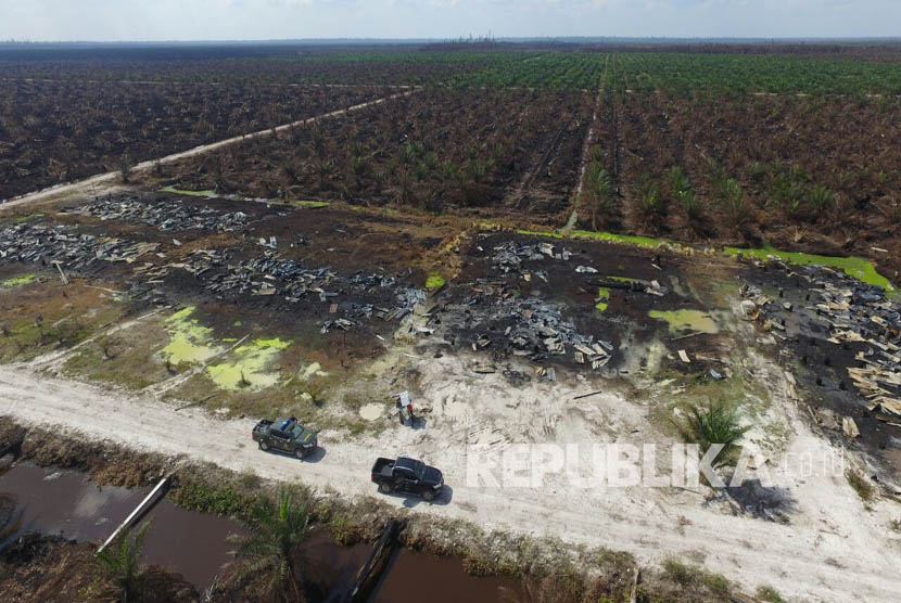 Foto kebakaran lahan milik PT APSL di Riau.