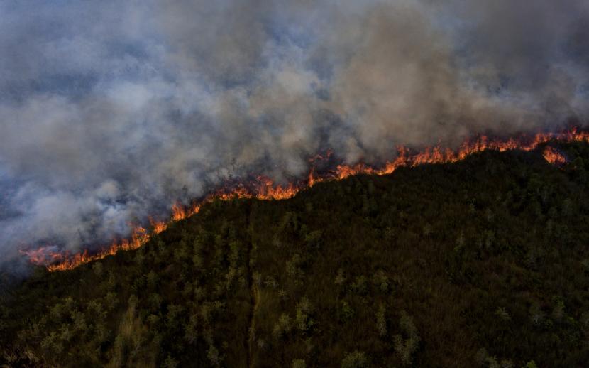 Foto udara api membakar lahan gambut di Pedamaran, Ogan Komering Ilir (OKI), Sumatera Selatan.