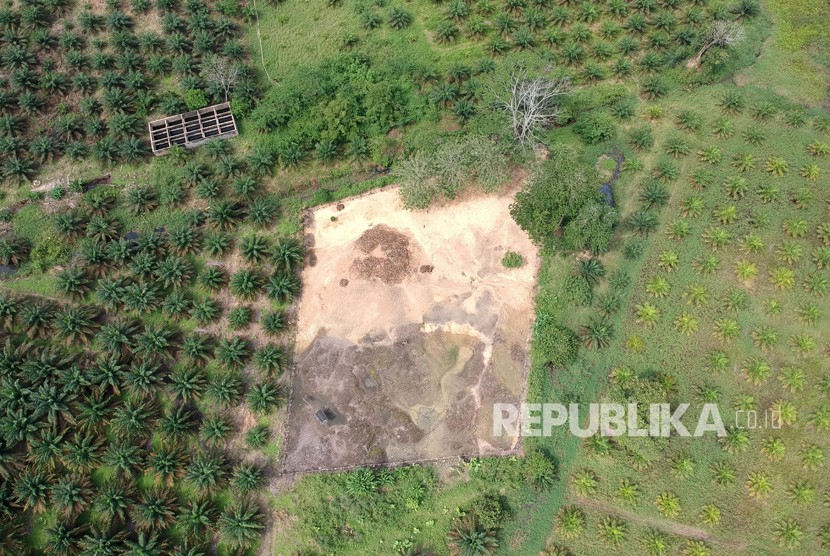 Foto udara Candi Teluk II Kawasan Percandian Muarajambi yang dikepung perkebunan kelapa sawit di Kemingking Luar, Taman Rajo, Muarojambi, Jambi, Selasa (4/12/2018). 