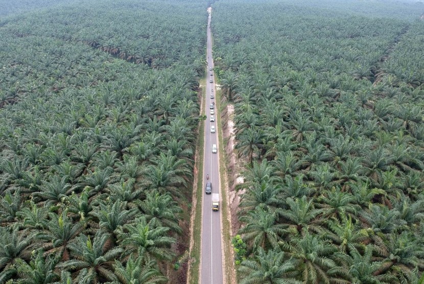 Foto udara jalur alternatif mudik lintas barat Jambi-Sumbar di Petajen, Bajubang, Batanghari, Jambi (ilustrasi). Pemerintah Provinsi Jambi mempersiapkan posko pengamanan di jalur mudik dalam wilayah Provinsi Jambi yang didirikan selama arus mudik dan arus balik tahun 2022.