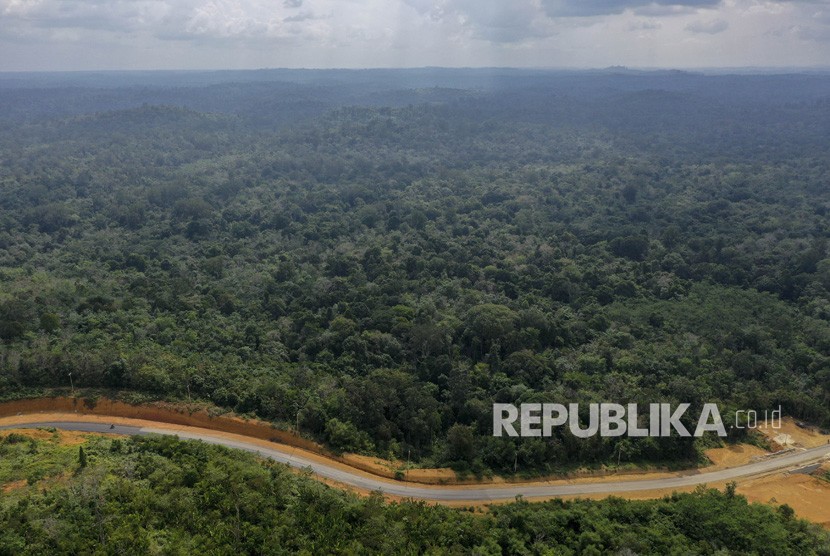 Foto udara kawasan Bukit Nyuling, Tumbang Talaken Manuhing, Gunung Mas, Kalimantan Tengah, Kamis (25/7/2019).