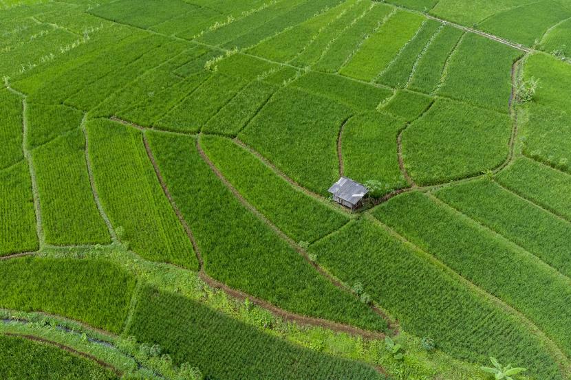 Foto udara kawasan pertanian di Desa Darmaraja, Kabupaten Ciamis, Jawa Barat, Ahad (17/7/2022). Pemerintah diminta untuk mempercepat penerapan sistem subsidi langsung pupuk bersubsidi. 