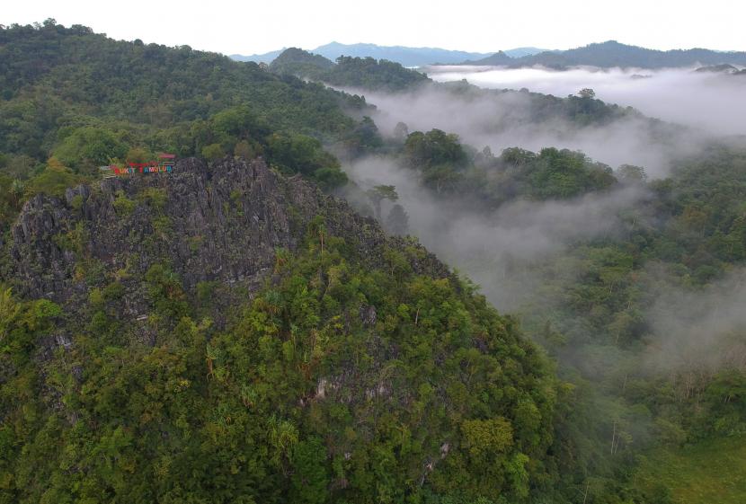 Direktur Penanganan Konflik Tenurial dan Hutan Adat, Julmansyah, menegaskan penetapan hutan adat hanya dilakukan pada kawasan yang masih memiliki tutupan hutan. (ilustrasi)