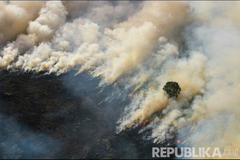 Foto udara kebakaran hutan dan lahan di Kabupaten Tapin, Kalimantan Selatan, Kamis (29/8/2019). 