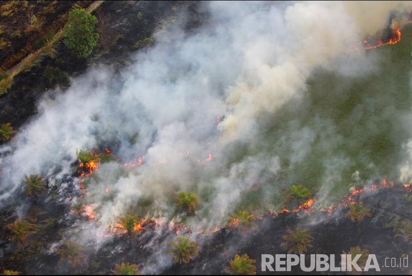 Foto udara kebakaran hutan dan lahan di Kabupaten Tapin, Kalimantan Selatan. 