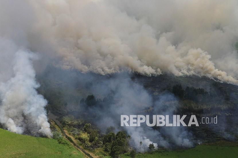 Foto udara kebakaran hutan dan lahan. (Ilistrasi)