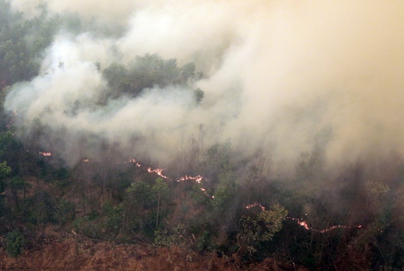 Foto udara kebakaran lahan di Kabupaten Ogan Komering Ilir (OKI), Sumsel, Selasa (20/10). 