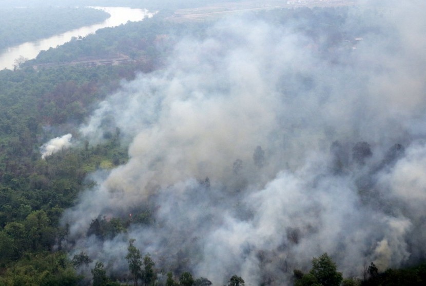 Foto udara kebakaran lahan di kawasan Kabupaten Banyuasin, Sumsel, Selasa (20/10). 