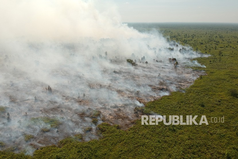 Foto udara kebakaran lahan gambut di Kumpeh Ulu, Muarojambi, Jambi. 