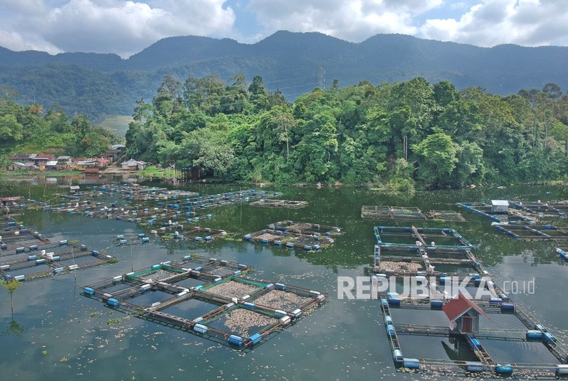 Foto udara kondisi keramba jaring apung (KJA) Linggai di Danau Maninjau, Kabupaten Agam, Sumatra Barat, Jumat (7/2/2020).