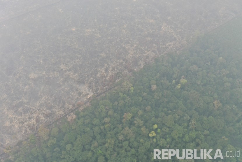 Foto udara lahan hutan Taman Nasional Sebangau yang telah terbakar di Palangka Raya, Kalimantan Tengah, Kamis (19/9/2019). 