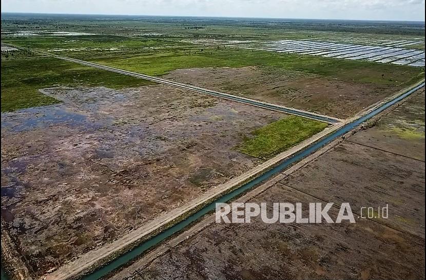 Foto udara lahan rawa yang tertanam padi jenis Inpari 42 di areal 