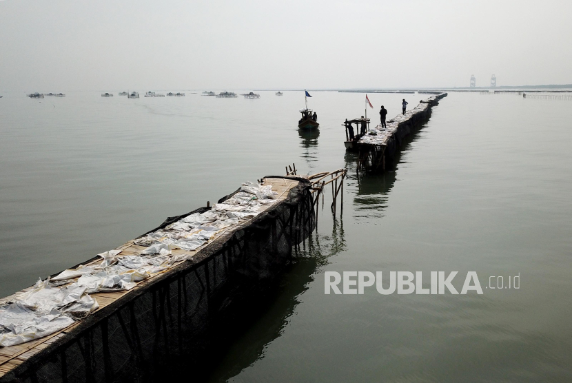 Foto udara pagar laut terlihat di perairan Kampung Pulau Cangkir, Kronjo, Kabupaten Tangerang, Banten, Jumat (10/1/2024).