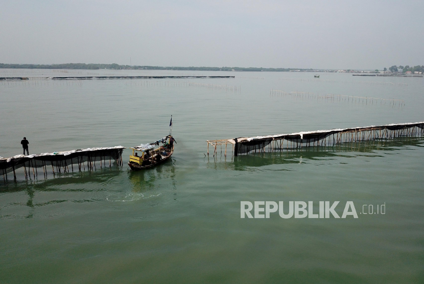 Foto udara pagar laut terlihat di perairan Kampung Pulau Cangkir, Kronjo, Kabupaten Tangerang, Banten, Jumat (10/1/2024). Pagar laut di pesisir Laut Tangerang, Banten itu terbentang sepanjang 30,16 kilometer.