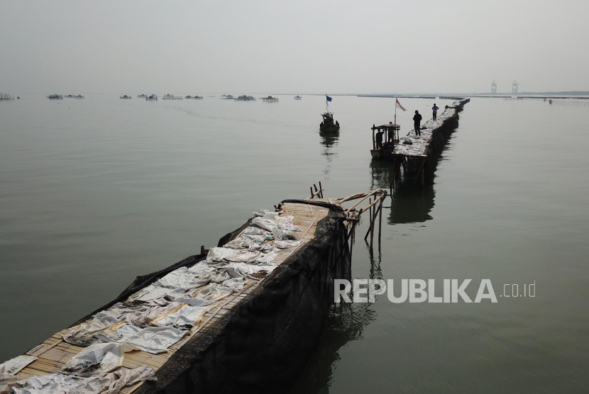 Foto udara pagar laut terlihat di perairan Kampung Pulau Cangkir, Kronjo, Kabupaten Tangerang, Banten, Jumat (10/1/2024). Pagar laut di pesisir Laut Tangerang, Banten itu terbentang sepanjang 30,16 kilometer.