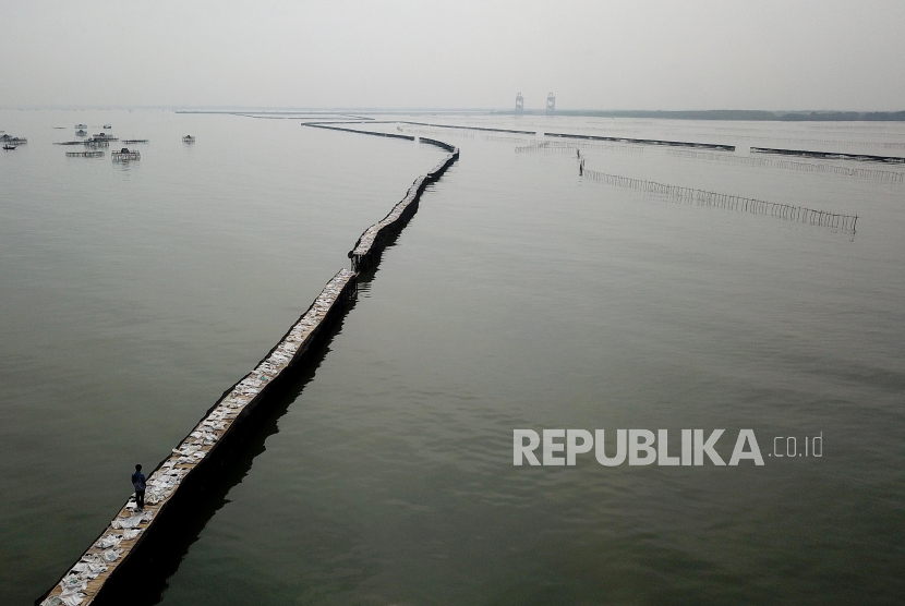 Foto udara pagar laut terlihat di perairan Kampung Pulau Cangkir, Kronjo, Kabupaten Tangerang, Banten, Jumat (10/1/2024). Pagar laut di pesisir Laut Tangerang itu terbentang sepanjang 30,16 kilometer.