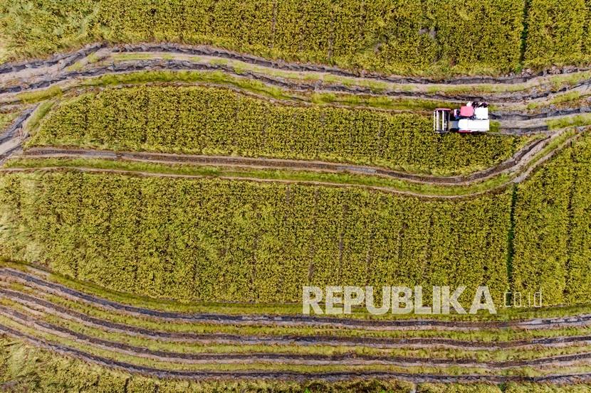 Area persawahan Desa Gembongan, Banyusari, Karawang, Jawa Barat, Senin (15/11). Pemkab Karawang, Jawa Barat, menyatakan, berupaya mencegah alih fungsi lahan pertanian.