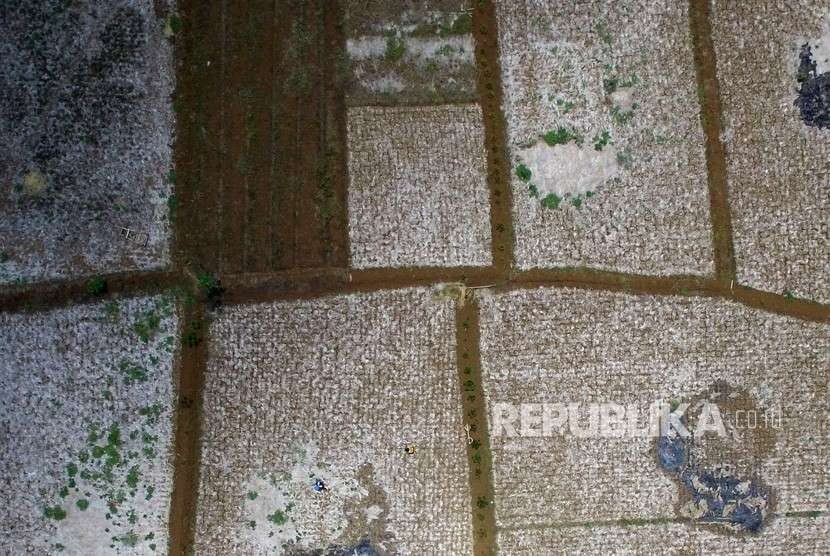 Foto udara sawah yang mengering akibat musim kemarau di Kampung Sukamanah, Kabupaten Ciamis, Jawa Barat, Senin (8/10).