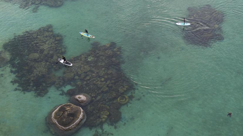 Foto udara sejumlah wisatawan beolahraga stand up paddle di Pantai Tanjung Tinggi, Belitung, Kepulauan Bangka Belitung.