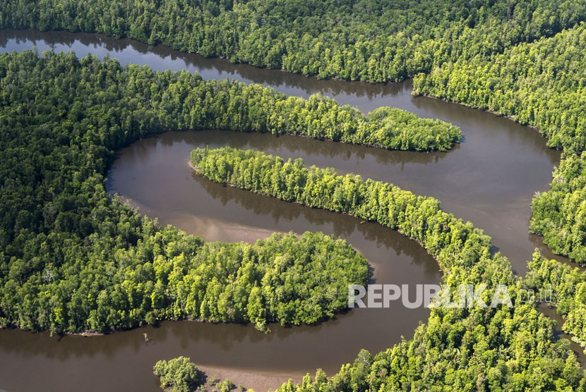 Foto udara sungai berkelok membelah hutan di Kabupaten Mimika, Papua. Kekayaan keanegaraman hayati rata-rata di Papua sebesar 711 spesies di mana yang tertinggi ada di bagian Utara Papua. 