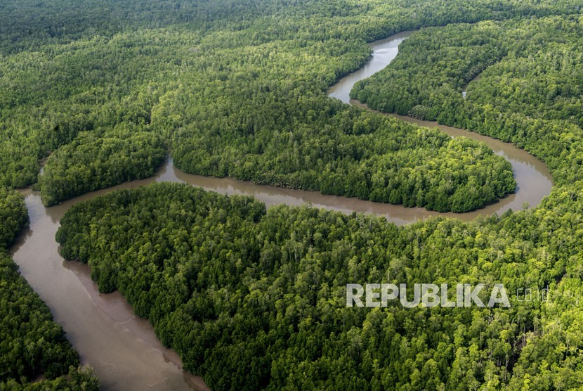 Potensi alam di Papua sangat besar dan jadi kunci perubahan iklim. Foto udara sungai berkelok membelah hutan di Kabupaten Mimika, Papua, Senin (29/1). 