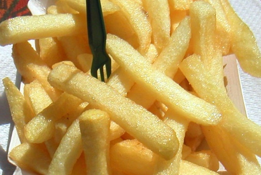 Fries (illustration)