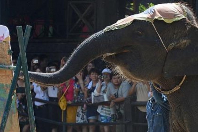Gajah beraksi di sebuah sirkus Thailand