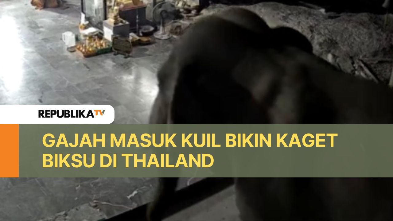 Gajah masuk kuil di Thailand