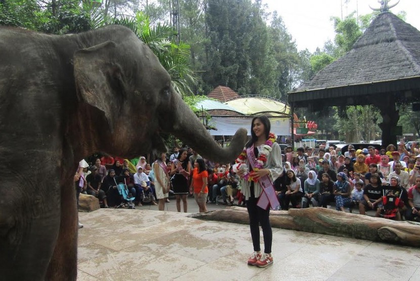 Gajah memberikan bunga sambutan untuk kedatangan Putri Pariwisata Indonesia.