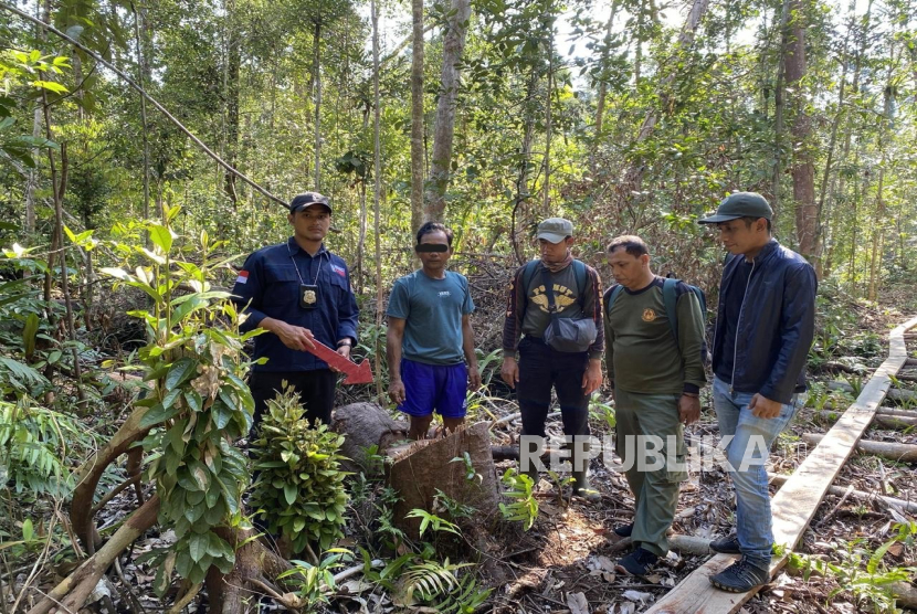 Gakkum Kehutanan Bekuk Pembalak Liar di Hutan Konservasi Riau
