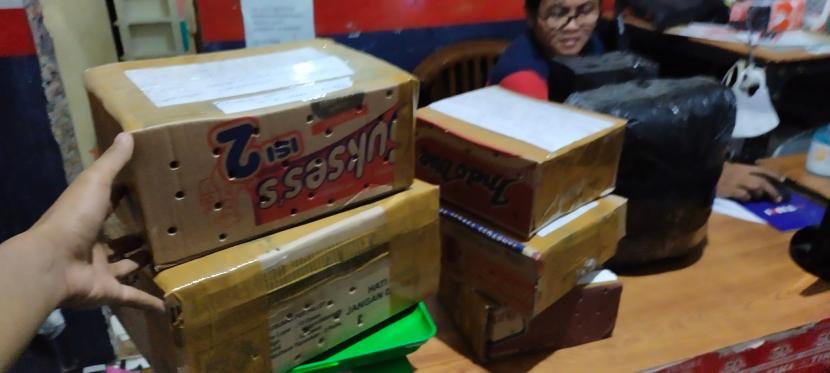 Galuh Christianto sedang mengirim beberapa paket hewan reptil di gerai TIKI Joglo, Kota Solo, Jawa Tengah.
