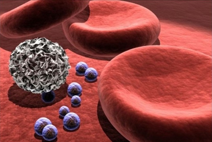 Gambar 3 dimensi sel darah merah, sel darah putih dan bacteria