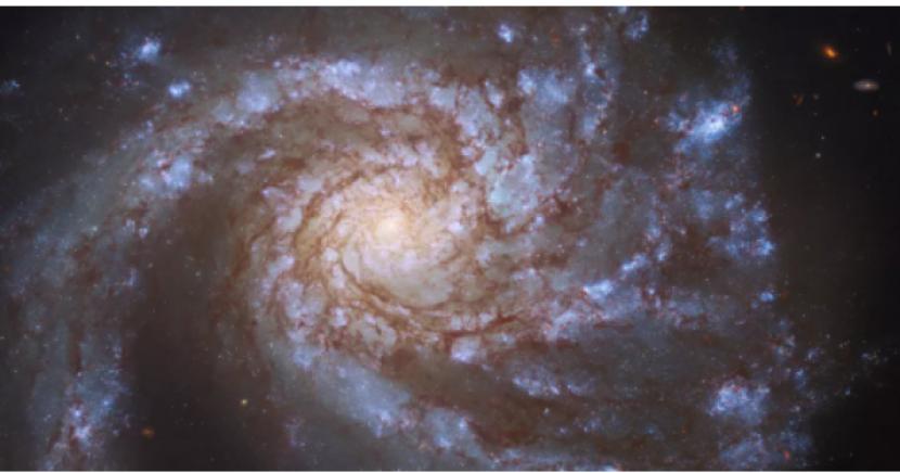 Gambar yang baru dirilis dari Hubble menunjukkan spiral memesona dari galaksi yang disebut M99.