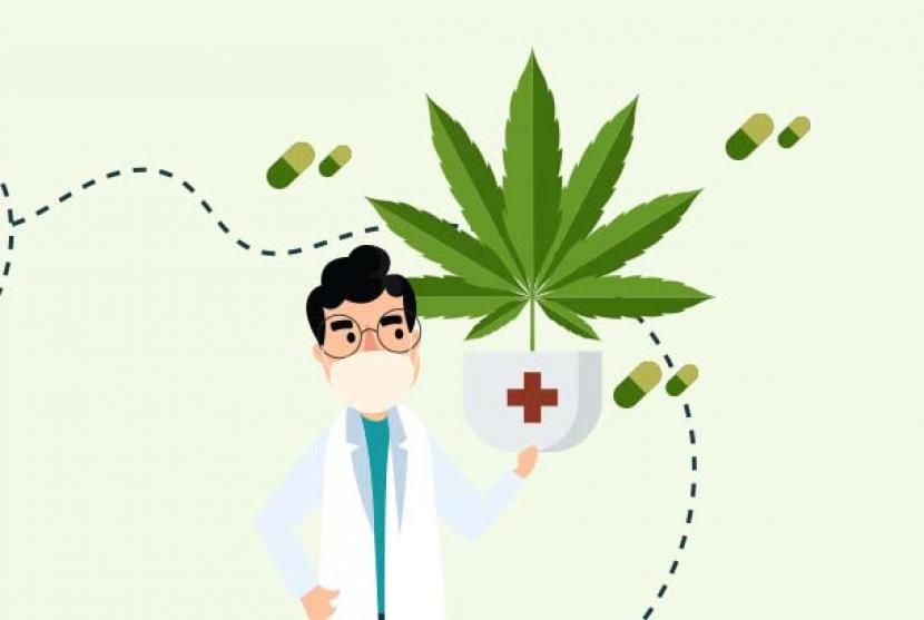 Ganja medis. Semua tanaman dari genus Cannabis, semua bagian tanamannya, dan hasil olahannya termasuk dalam narkotika golongan I.